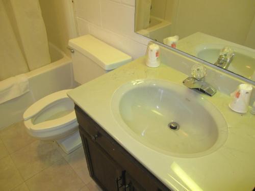 Red Carpet Inn Rome Dış mekan fotoğraf